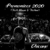 Promomixes 2020 (Cover)