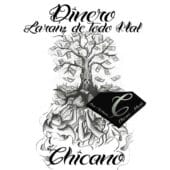 Chicano Dinero Cover